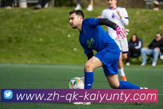 App Interface Preview